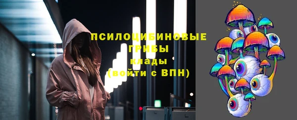 2c-b Белокуриха