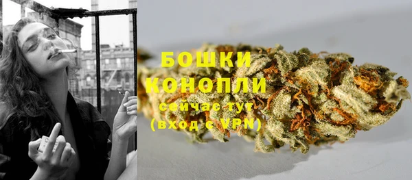 2c-b Белокуриха