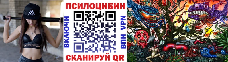Галлюциногенные грибы прущие грибы  Купить  Стерлитамак 